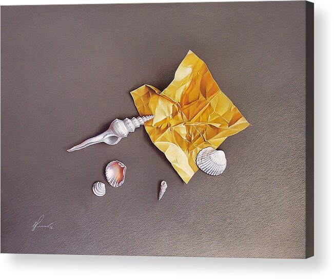 Shell Acrylic Print featuring the drawing Shells of the day by Elena Kolotusha