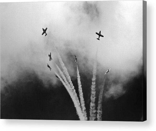 Freedom Of The Sky Acrylic Print featuring the photograph The Freedom Of The Sky by Nick Mares
