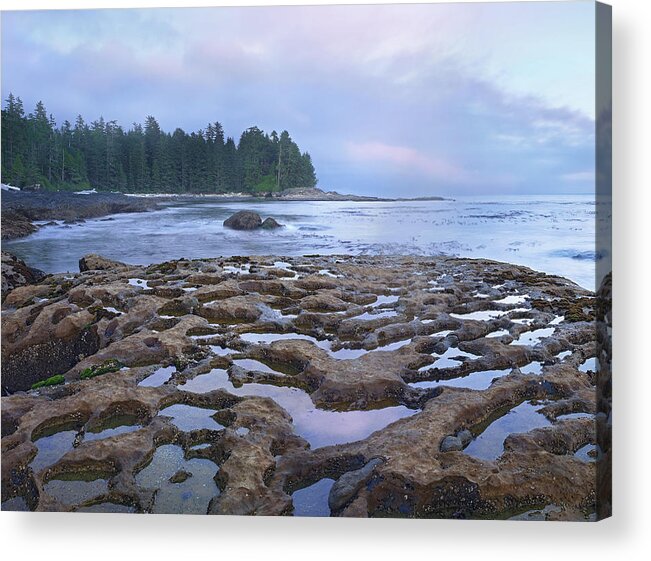 00175323 Acrylic Print featuring the photograph Tide Pools Exposed At Low Tide by Tim Fitzharris