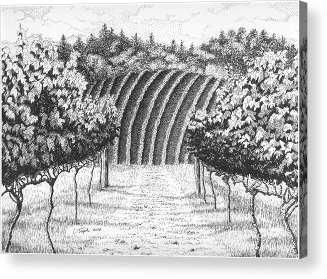 Landscape Acrylic Print featuring the drawing Vineyard by Lawrence Tripoli