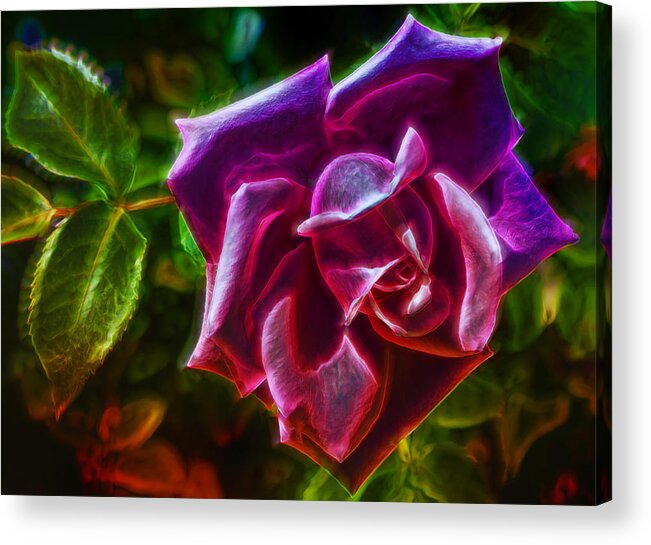 Rose Acrylic Print featuring the photograph Visions From A Rose by Bill and Linda Tiepelman