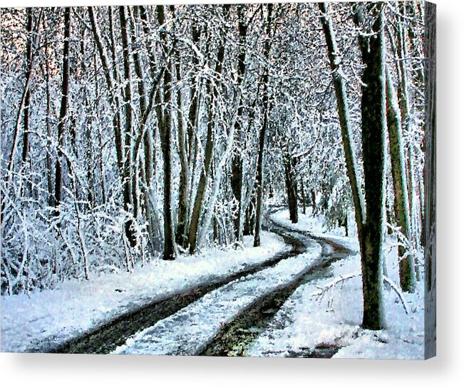 Snow Acrylic Print featuring the photograph Wending One's Way by Kristin Elmquist