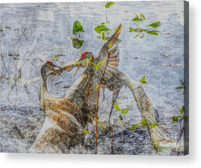 Sandhill Acrylic Print featuring the mixed media Zhandou by September Stone