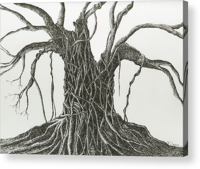Tree Acrylic Print featuring the drawing Patience by Rachel Bochnia