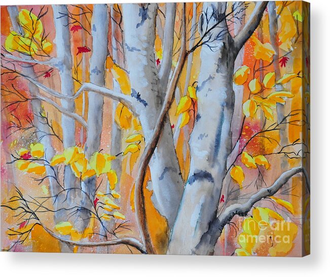 Autumn Acrylic Print featuring the painting Autumn Birch #1 by John W Walker