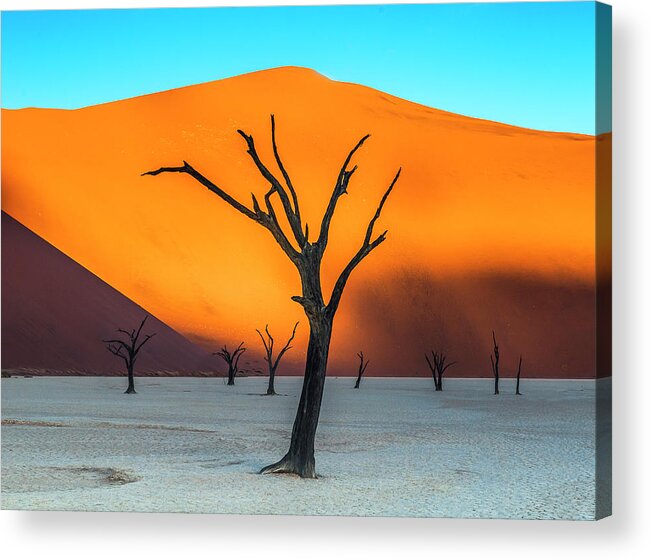 Deadvlei Acrylic Print featuring the photograph Beauty lives forever. #2 by Usha Peddamatham