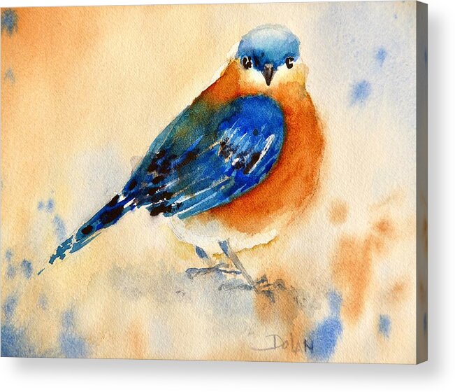 Bluebird Acrylic Print featuring the painting Bluebird #3 by Pat Dolan
