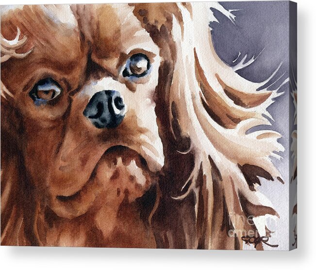 Cavalier King Charles Acrylic Print featuring the painting Cavalier King Charles Spaniel #3 by David Rogers