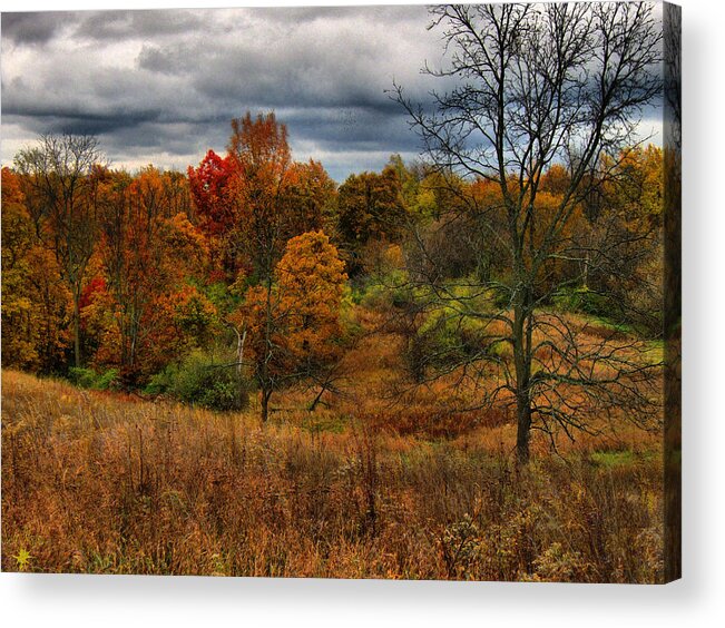 Hovind Acrylic Print featuring the photograph Fall Colors #1 by Scott Hovind