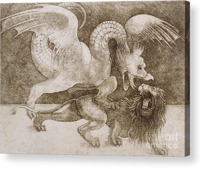 Renaissance Acrylic Print featuring the drawing Fight between a Dragon and a Lion by Leonardo Da Vinci by Leonardo Da Vinci