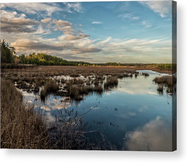  Acrylic Print featuring the photograph Franklin Parker Preserve Landscape #1 by Louis Dallara