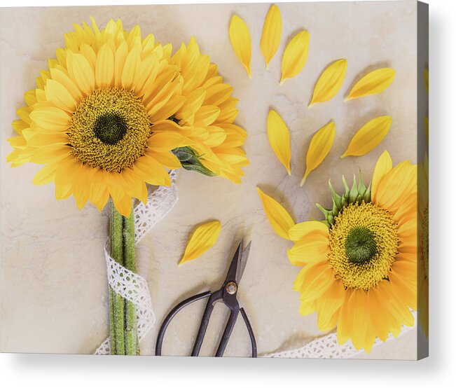 Sunflower Acrylic Print featuring the photograph Pick Me by Kim Hojnacki