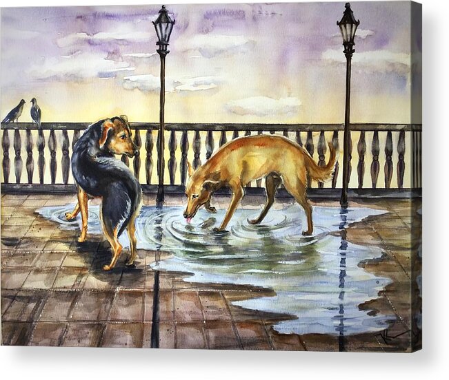 Dogs Acrylic Print featuring the painting Thirst #1 by Katerina Kovatcheva