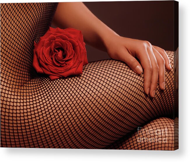 Bodystocking Acrylic Print featuring the photograph Woman in Fishnet Bodystocking with a Rose #2 by Maxim Images Exquisite Prints