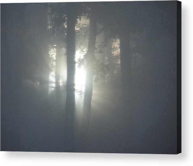 Sunrise Acrylic Print featuring the photograph Daybreak of Creation #3 by Lila Mattison