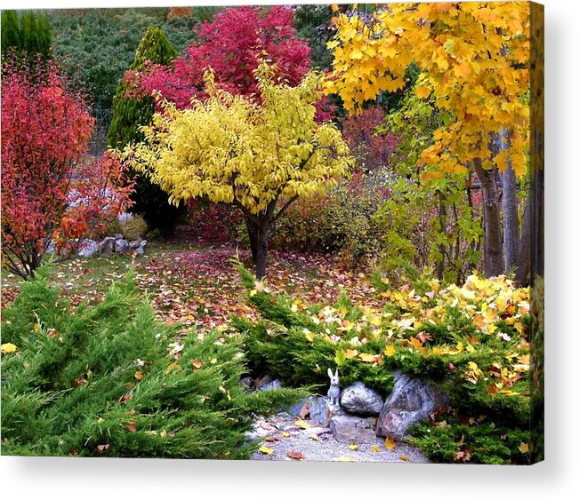 A Colorful Fall Corner Acrylic Print featuring the photograph A Colorful Fall Corner by Will Borden