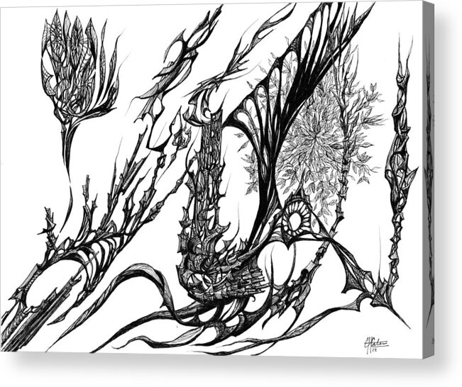 Botanic Botanical Blackandwhite Black And White Zentangle Zen Tangle Abstract Acceptance Circles Comfort Comforting Detailed Drawing Dreams Earth Acrylic Print featuring the painting A Different Slant by Charles Cater