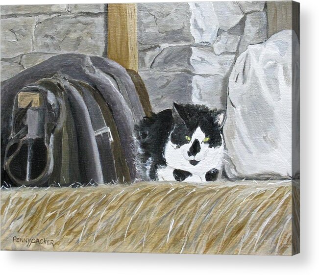 Barn Cat Acrylic Print featuring the painting A Penns Valley Barn Kitty by Barb Pennypacker