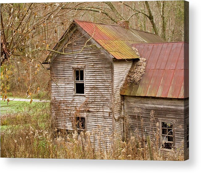 Abandoned Acrylic Print featuring the photograph Abandoned house with colorful roof by Douglas Barnett