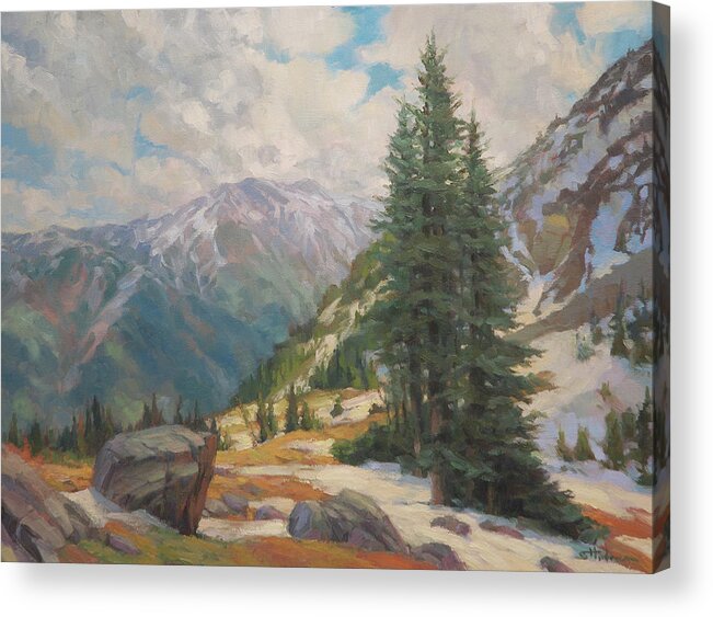 Wilderness Acrylic Print featuring the painting Alpine Spring by Steve Henderson