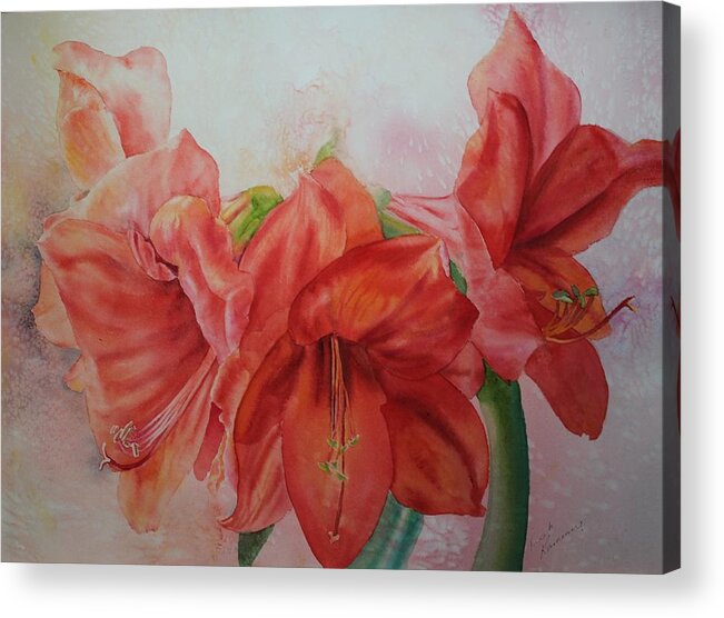 Flowers Acrylic Print featuring the painting Amarylis by Ruth Kamenev