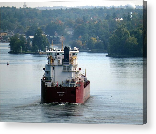  Acrylic Print featuring the photograph American Narrows by Dennis McCarthy