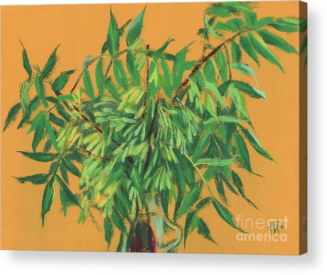 Ash-tree Acrylic Print featuring the painting Ash Tree, Summer Floral, Pastel Painting by Julia Khoroshikh