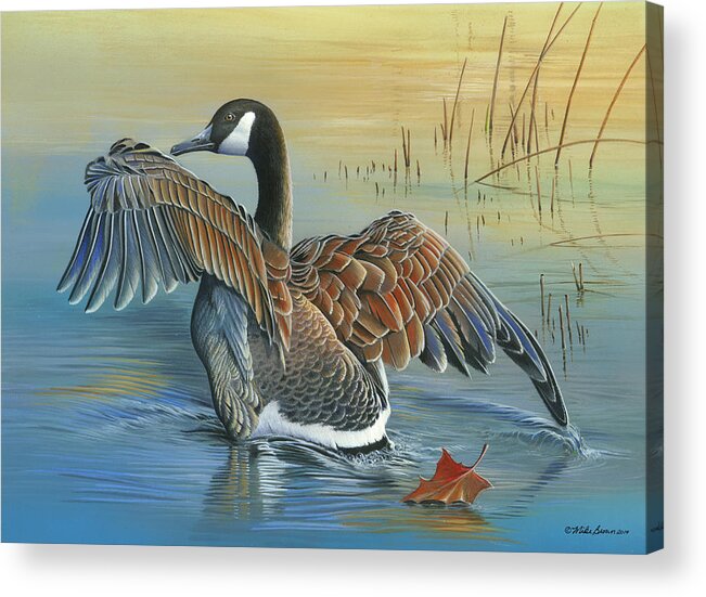 2015 Iowa Duck Stamp Winner Acrylic Print featuring the painting At First Light by Mike Brown