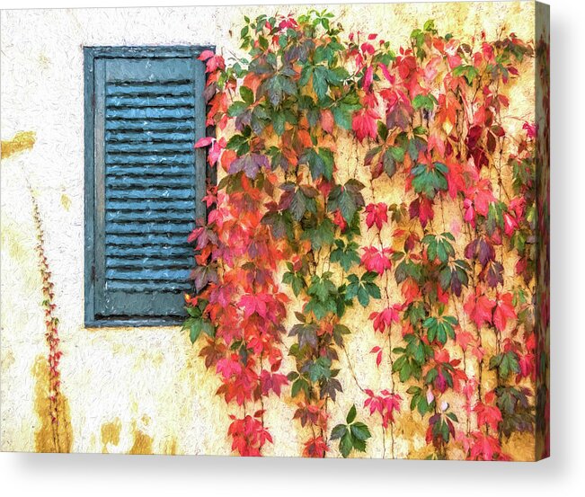 California Acrylic Print featuring the photograph Autumn in Napa by David Letts