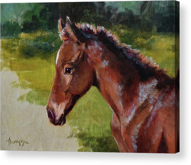 Foal Acrylic Print featuring the painting Bay Foal by Tracie Thompson
