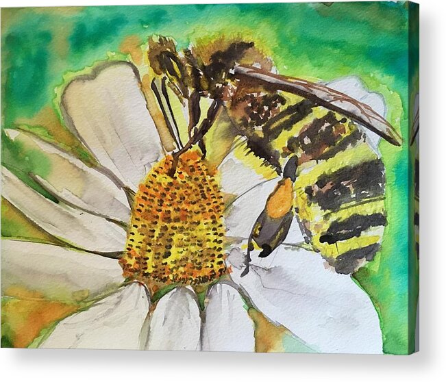 Honeybee Acrylic Print featuring the painting Bee Collecting Nectar and Pollen by Dottie Visker