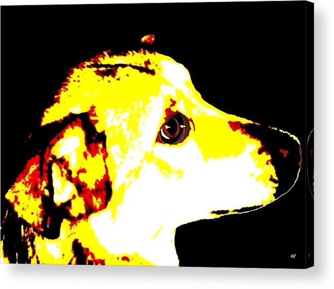 Coco Acrylic Print featuring the digital art Best Friend by Will Borden