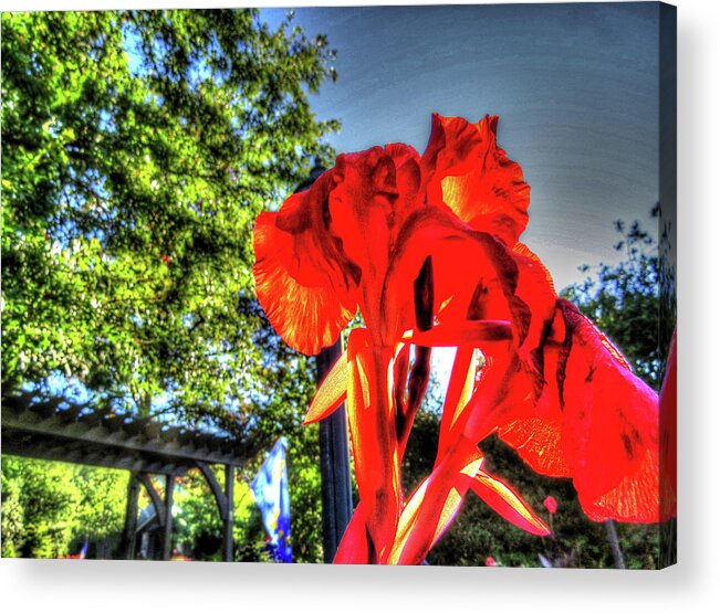 Flowers Acrylic Print featuring the digital art Big Red by Kathleen Illes