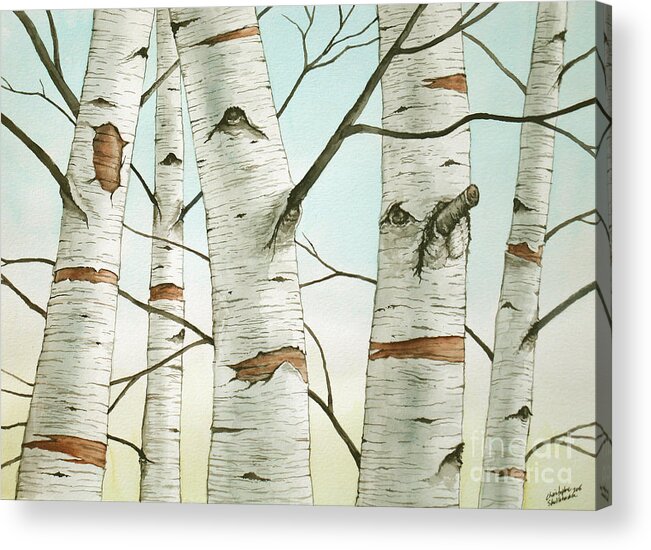 Birch Tree Acrylic Print featuring the painting Birch Trees in Late Autumn in watercolor by Christopher Shellhammer