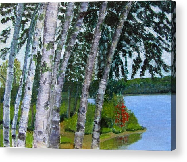 Birches Acrylic Print featuring the painting Birches at First Connecticut Lake by Linda Feinberg