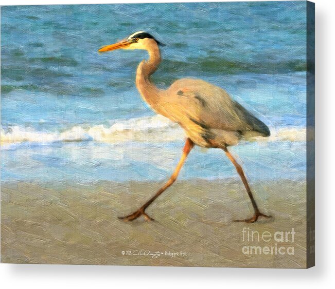 Blue Heron Acrylic Print featuring the painting Bird with a Purpose by Chris Armytage