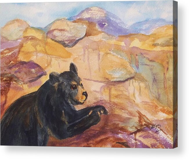 Black Bear Acrylic Print featuring the painting Black Bear Cub by Ellen Levinson