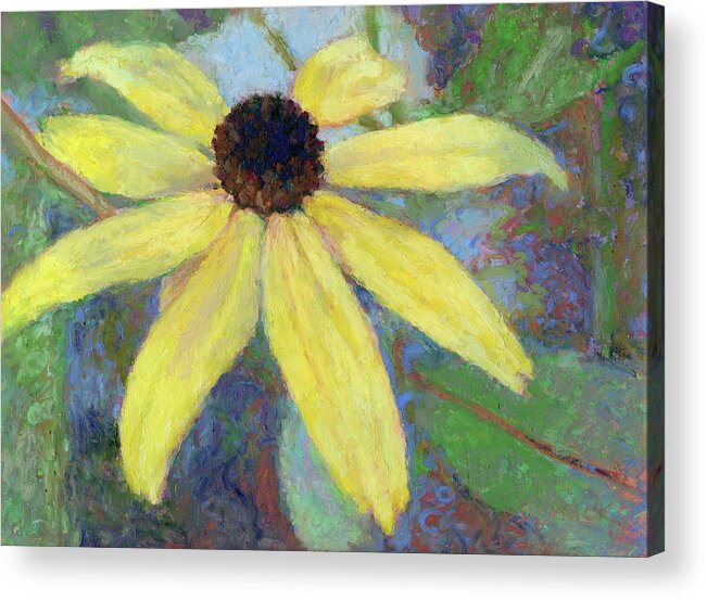 Floral Acrylic Print featuring the pastel Black Eyed Susan by Betsy Derrick