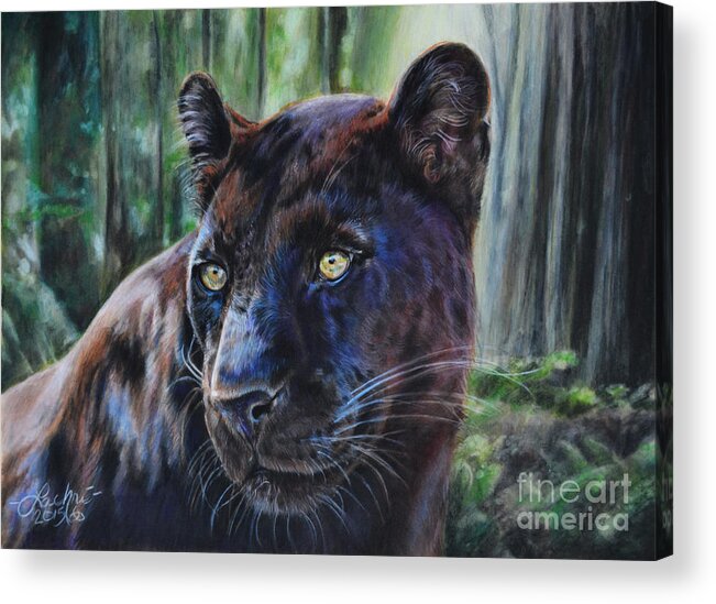 Leopard Acrylic Print featuring the painting Black Leopard by Lachri