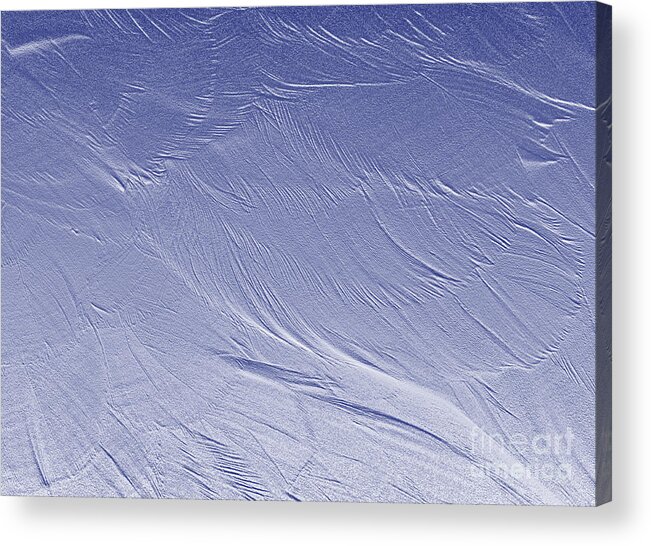 Feathers Acrylic Print featuring the photograph Blue Feather Abstract by Tabitha Fox