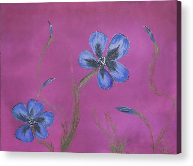 Fine Art Acrylic Print featuring the painting Blue Flower Magenta Background by Stephen Daddona