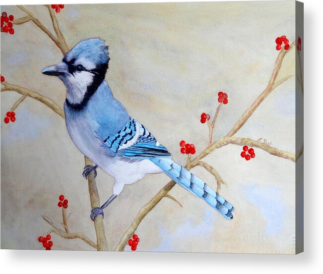 Blue Jay Acrylic Print featuring the painting Blue Jay by Laurel Best