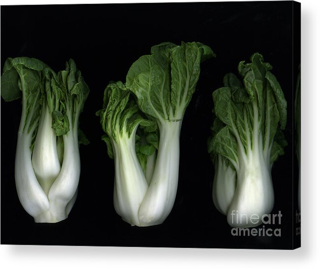 Slanec Acrylic Print featuring the photograph Bok Choy by Christian Slanec