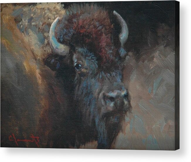 Buffalo Acrylic Print featuring the painting Buffalo Portrait by Jim Clements