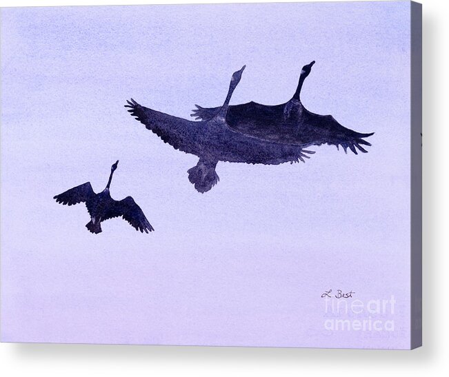 Canada Acrylic Print featuring the painting Canadian Geese by Laurel Best