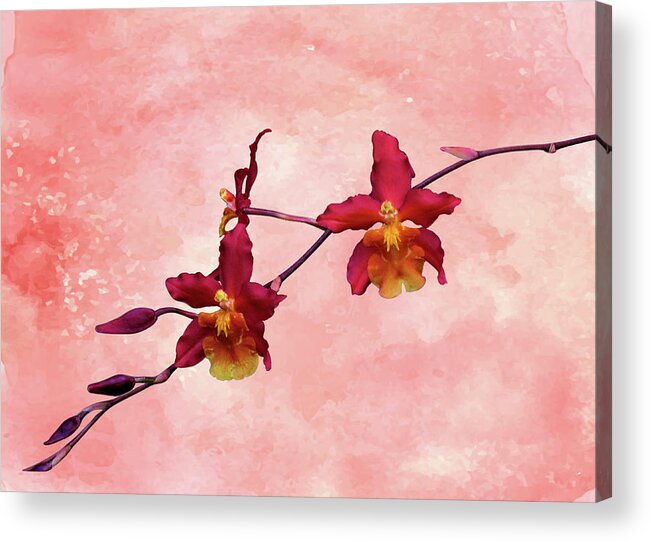 Orchid Acrylic Print featuring the mixed media Cattleya Spray on Grunge by Rosalie Scanlon