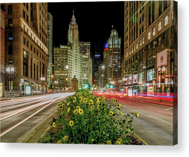 Chicago Acrylic Print featuring the photograph Chicago Stars by Lev Kaytsner