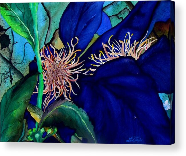 Lil Taylor Acrylic Print featuring the painting Clematis Regal in Purple and Blue SOLD by Lil Taylor