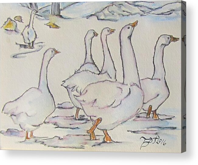 Geese Acrylic Print featuring the painting Come and Get It by Barbara O'Toole