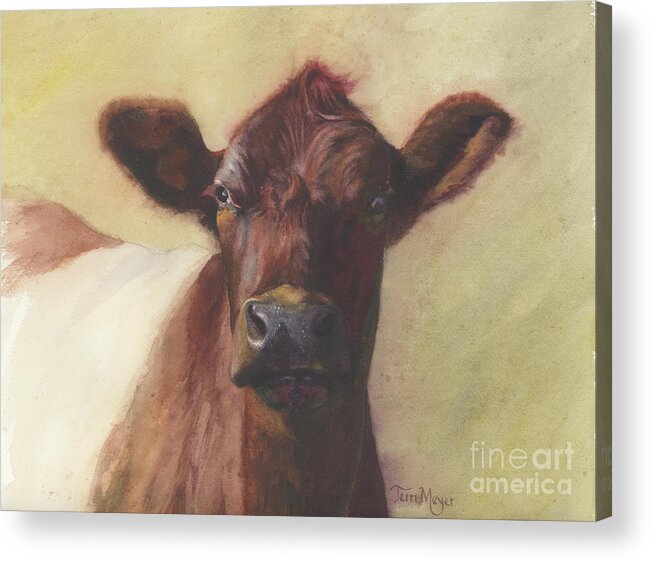 Cow Painting Acrylic Print featuring the painting Cow Portrait III - Pregnant Pause by Terri Meyer